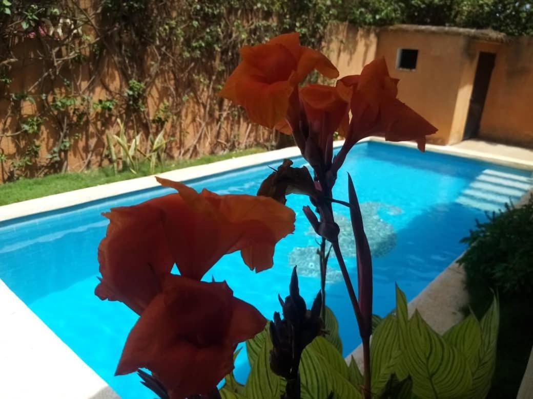 סאלי פורטודל Villa Dallie מראה חיצוני תמונה